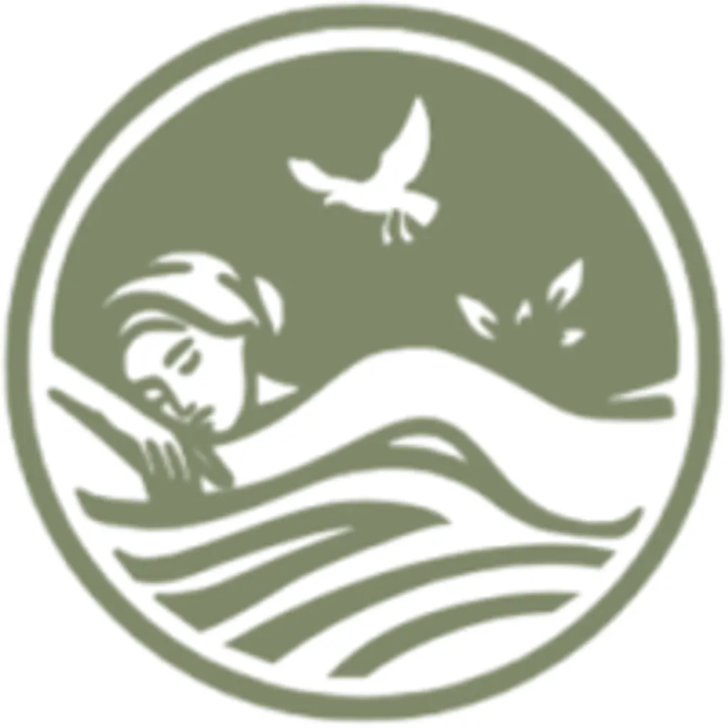 ЧАЙКИ ВЕЛНЕС